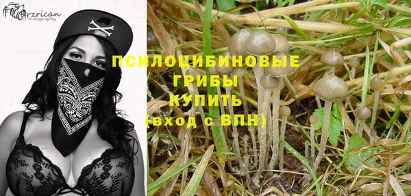 Альфа ПВП Алексин