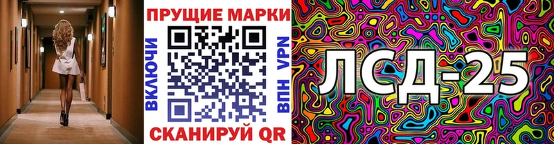 закладка  Тара  Марки N-bome 1500мкг 